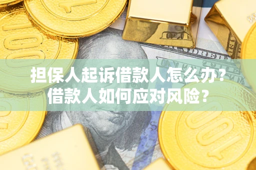 济南担保人起诉借款人怎么办？借款人如何应对风险？