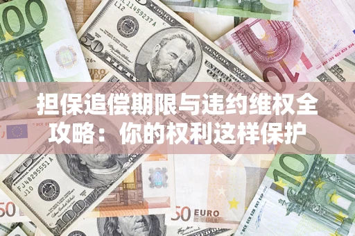 济南担保追偿期限与违约维权全攻略：你的权利这样保护